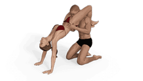Aerial Feedbag Sex Position