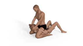 North Pole Sex Position