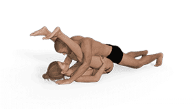 Front Entry Sex Positions