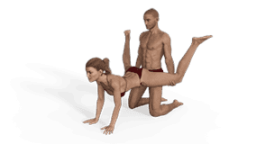 Kneeling Wheelbarrow Sex Position