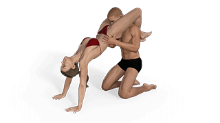 Aerial Feedbag Sex Position