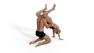 Aerial Butler Sex Position