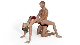 Bridged Guard Sex Position