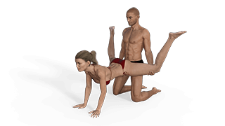 Kneeling Wheelbarrow Sex Position