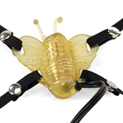 Micro Butterfly Review